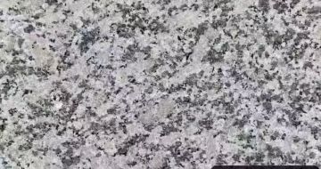 日照 芙蓉白（芝麻白大花）火烧面