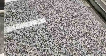 日照 芙蓉白光面