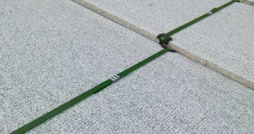 日照 芝麻白斧剁面