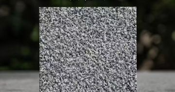 日照 芝麻黑荔枝面