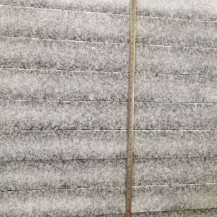 日照 芝麻白成品厚薄均匀