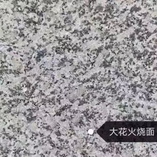 日照 芙蓉白（芝麻白大花）火烧面