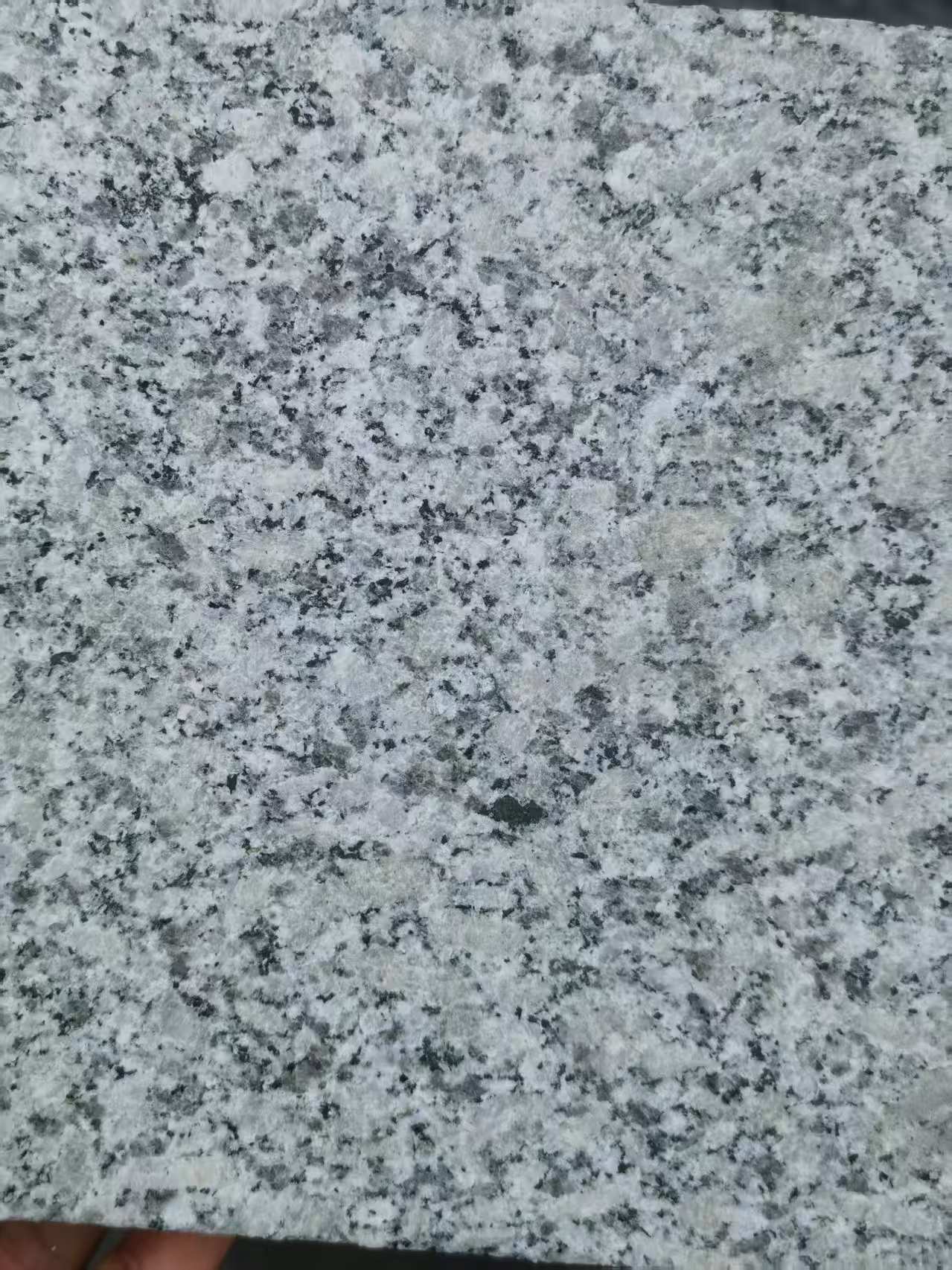 日照 芙蓉白火烧面