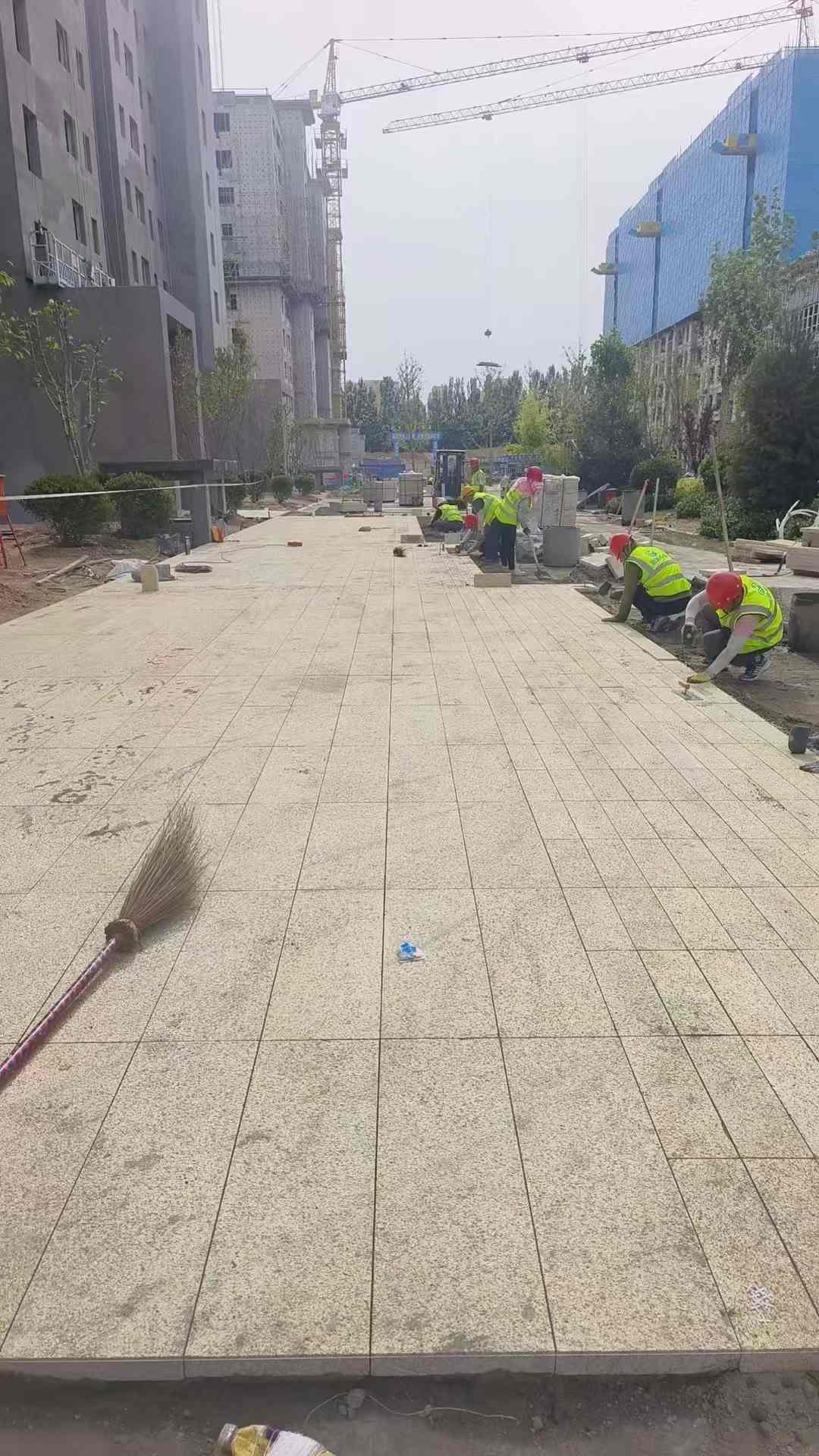 日照黄金麻荔枝面地铺案例