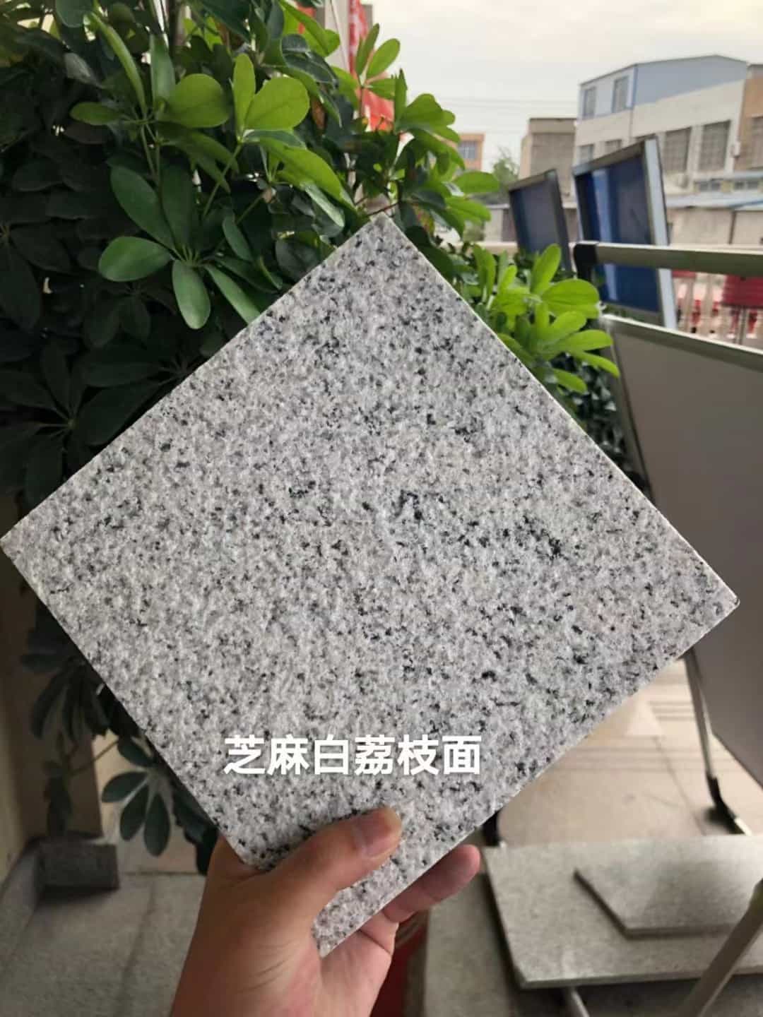 日照 芝麻白荔枝面干挂