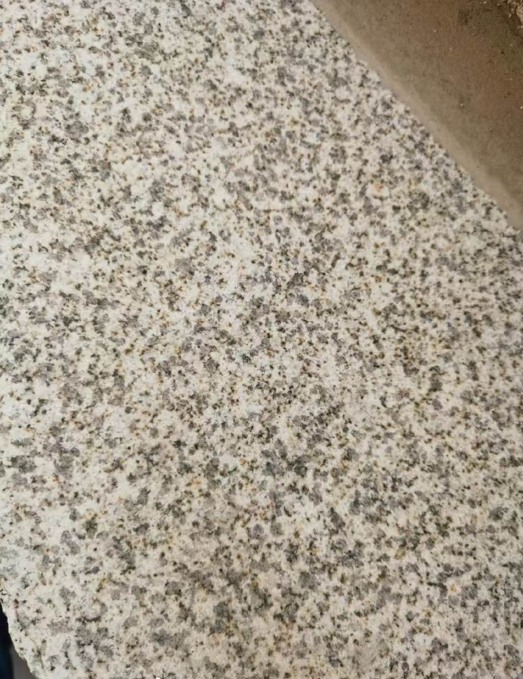 日照 黄金麻中黄光面